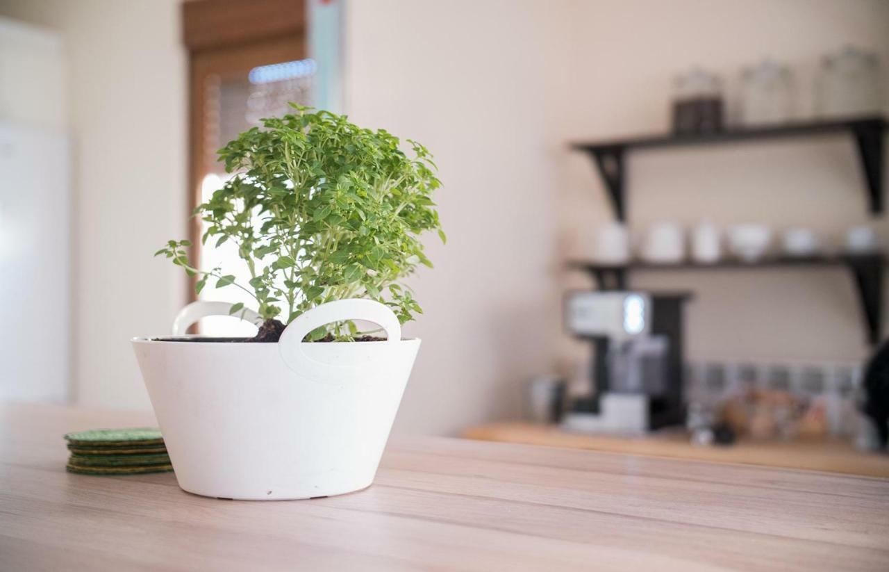 Albergue De Prioro エクステリア 写真